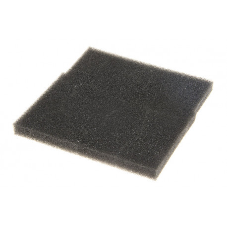 Filtre pour aspirateur Delonghi 5391515600