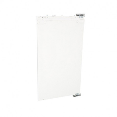 Porte 538x950mm pour refrigerateur Aeg 225647901