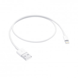 Cable de charge iphone 0.5m lightning Apple ME291ZM/A