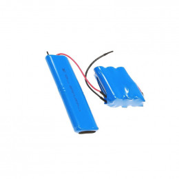 Batterie ergorapido pour aspirateur Aeg 405513230