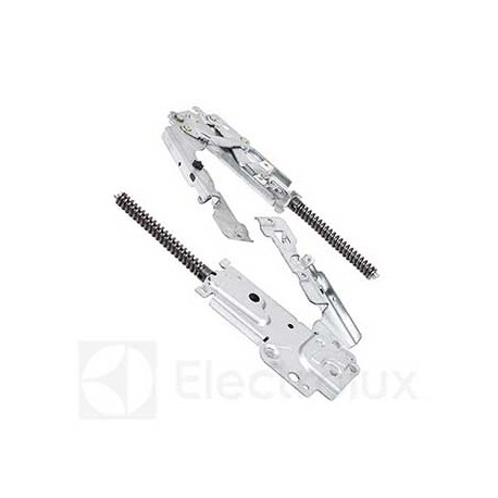 Kit charnieres pour lave-vaisselle Electrolux 405507653