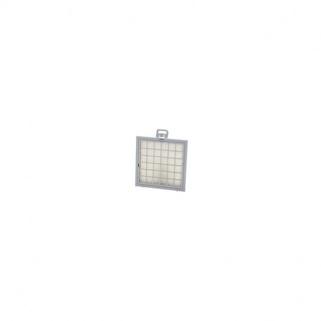 Filtre hepa pour aspirateur Bosch 17002186