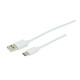 Cable usb-c blanc 2m 2.0 usb 2.0 3a Itc 302444