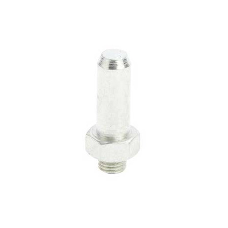 Axe de pivot sup pour refrigerateur ateur congelateur Bosch 00172270