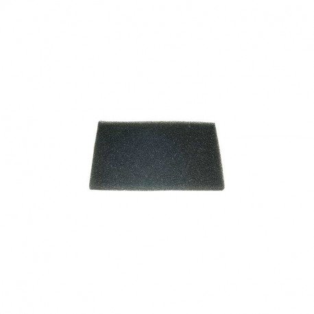 Filtre pour aspirateur Bosch 00172139