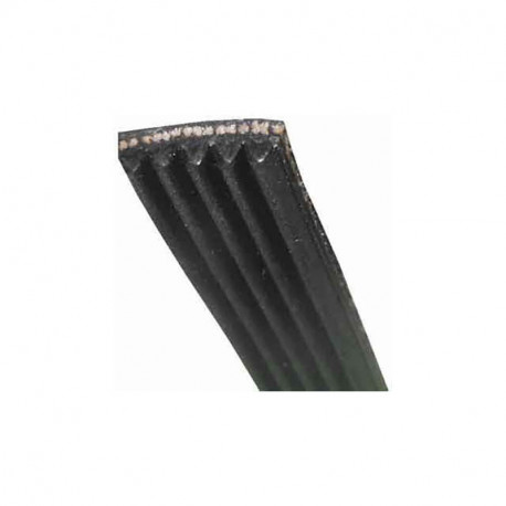 Courroie 1200j6 pour lave-linge Smeg 1200 J 6