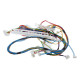 Faisceau de cablage aspirateur pour lave-vaisselle Bosch 12029103