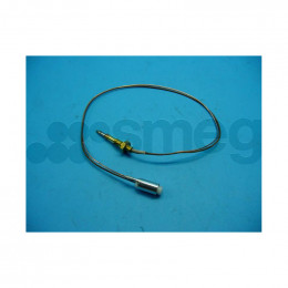 Thermocouple de barbecue longueur : 750 mm Multi-marques