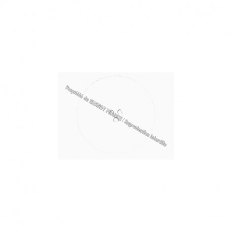 Plateau pour micro-ondes Brandt AS0021830