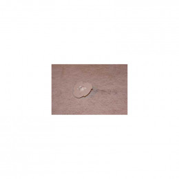 Came de distribution pour lave-linge Brandt 55X4120