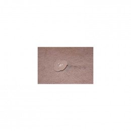Came de distribution pour lave-linge Brandt 55X4120