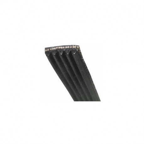 Courroie 1956h7 pour seche-linge Beko C00876490