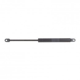 Verin porte 300n cuisson Scholtes C00136997