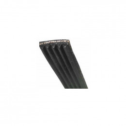 Courroie 1216j6 mael pour lave-linge Haier 49046320