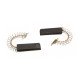 Jeu de 2 charbons 5x13,5x43,5 mm 10697305
