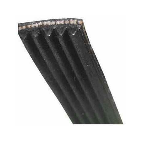 Courroie 1225j5 mael pour lave-linge Multi-marques